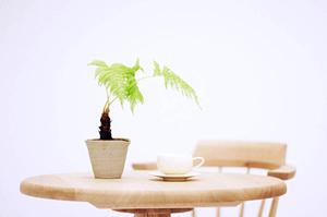 いやな結露内窓取り付けで防止する