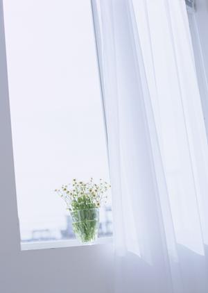 堺製畳株式会社なら色々相談できます